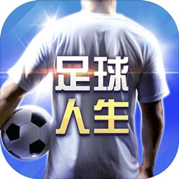多米体育平台app